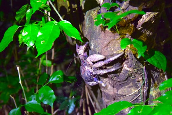 ☆お子様連れの方必見☆6歳以下無料！！】宮古島の夜を楽しむ満点の