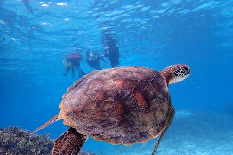 【宮古島・1組貸切】贅沢に遊ぶなら♪SUP&シュノーケリングツアー