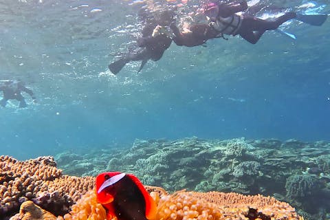 【沖縄・本部町・シュノーケリング】『一組限定』地元んちゅガイドのんびりシュノーケリングツアー（無料動画&写真付き）