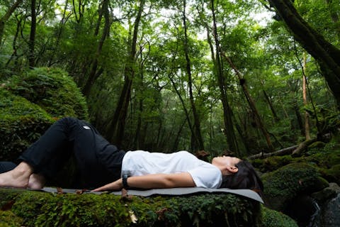 【屋久島・トレッキング】＜アソビュー！限定＞白谷雲水峡でゆったり森林浴＆アロマスプレー・屋久島天然温泉付きプラン（1組限定）