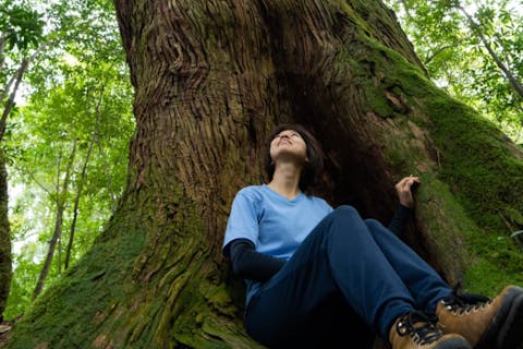 【屋久島・トレッキング】＜アソビュー！限定＞「豊かな静寂の森」で森林浴＆アロマスプレー・屋久島天然温泉付きプラン（1組限定）