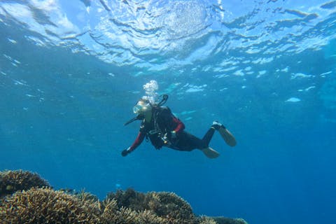 【沖縄・恩納村・体験ダイビング】プライベートビーチでのんびり体験ダイビング/ファミリー・カップル・女性・おすすめツアー