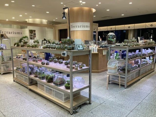 Terrariums 渋谷ヒカリエ店