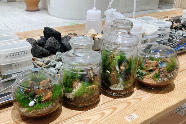 東京・渋谷】ガラス瓶で作る苔のテラリウム（90分）｜アソビュー！