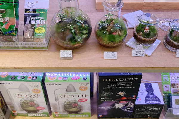 東京・渋谷】ガラス瓶で作る苔のテラリウム（90分）｜アソビュー！