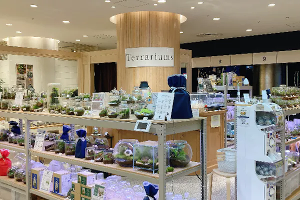 東京・渋谷】ガラス瓶で作る苔のテラリウム（90分）｜アソビュー！