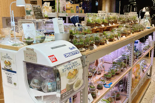 東京・渋谷】ガラス瓶で作る苔のテラリウム（90分）｜アソビュー！