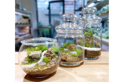 【東京・渋谷】ガラス瓶で作る苔のテラリウム（90分）