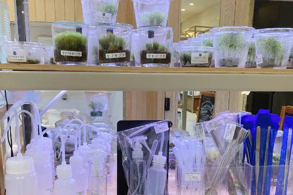 東京・渋谷】ガラス瓶で作る苔のテラリウム（90分）｜アソビュー！