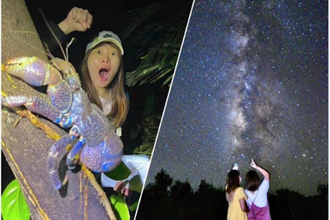 【沖縄・宮古島・ナイトツアー】ジャングルナイトツアー＆満点星空鑑賞・レアな南国の生物探し探検ツアー。ファミリーにおすすめ