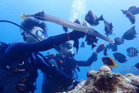 【沖縄・本部町・ファンダイビング】ゴリラチョップでファンダイビング！ビーチエントリー・GoPro写真データ無料サービス＜器材レンタル料全て込み＞！