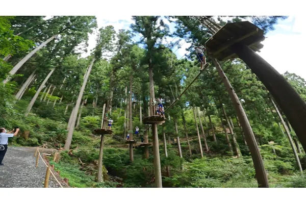 高知・津野町・フォレストアドベンチャー】みんなで楽しも！キャノピー