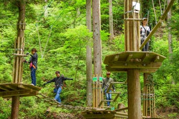 高知・津野町・フォレストアドベンチャー】みんなで楽しも！キャノピー