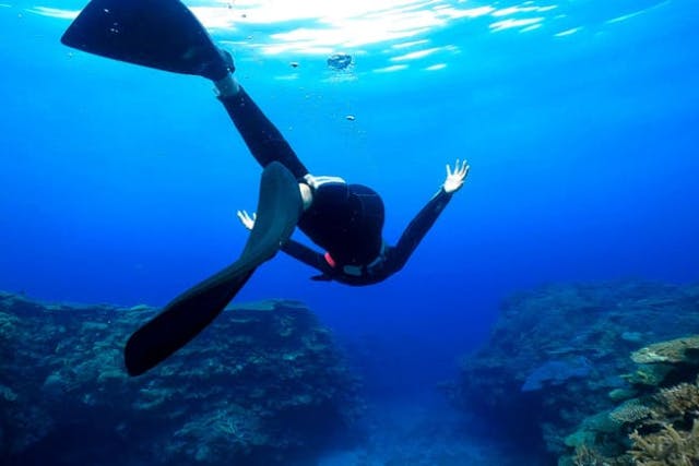 【奄美大島・シュノーケリング】奄美の透明度の高い海を堪能♪ウミガメシュノーケリング体験ツアー