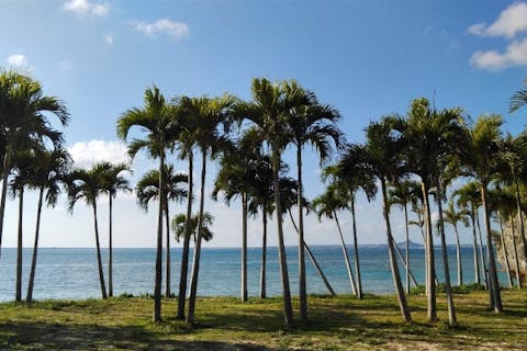 【沖縄・本部町・手ぶらBBQ】うふた浜開催、手ぶらで贅沢BBQ