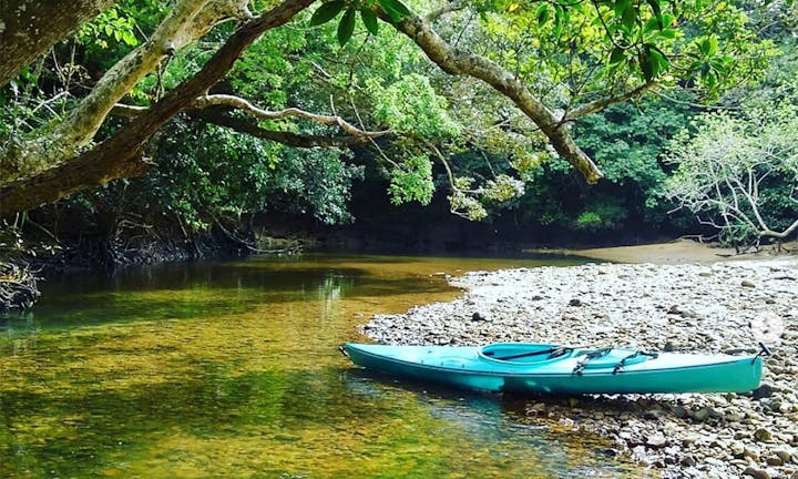 Natures delight iriomote（ネイチャーズ  ディライト　イリオモテ）