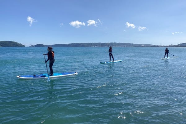 風景の変容 世界のるつぼ 他 基本セット2019 280枚＋トークン