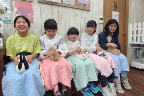 【京都・うさぎカフェ】大人から子供まで誰でも癒される！世界一かわいいうさちゃんとのふれあい体験！