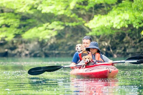 【栃木・那須・カヌー】板室ダム湖カヌーツアー（3歳から体験可能）ワンちゃんもOK！