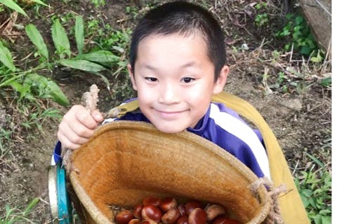 【大阪・熊取町・農業体験】農業YouTuber監修！旬の野菜収穫体験！最大15品目の野菜取り放題☆5%割引でお得に楽しむ♪