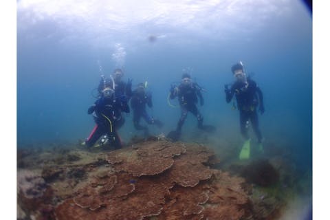 【和歌山・白浜・ダイビング】2ボートダイビング・昼食付き！Cカード所有者の方はどなたでもお越しください！