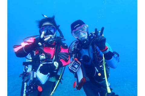 【和歌山・白浜・体験ダイビング】初心者歓迎！体験ダイビング・安心のマンツーマン！白浜の海の世界を探検しよう！