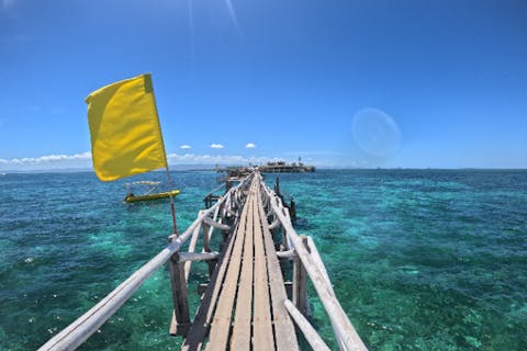 【セブ島】セブ島周辺3大スポット（ナルスアン島、ヒルトゥガン海洋保護区、カオハガン島）を巡るアイランドホッピング (日本語サポート/往復送迎 /ランチ付き)の画像を表示しています