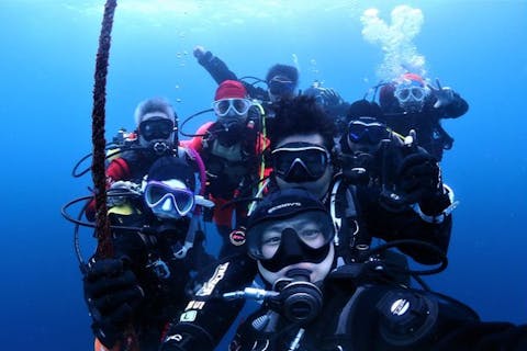 【神奈川・城ヶ島・体験ダイビング】タツノオトシゴとクマノミに会える！初心者歓迎・無料送迎付き体験ダイビング！