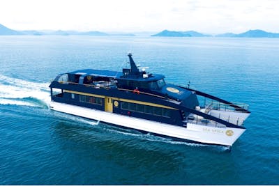 流木(瀬戸内海) 流木(瀬戸内海)