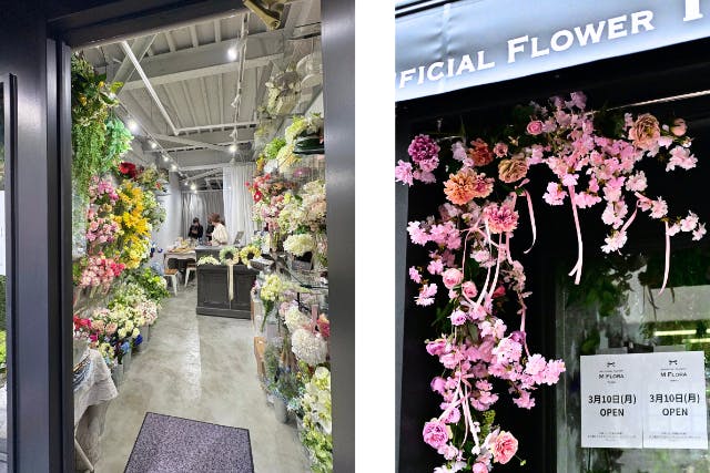 M FLORA
