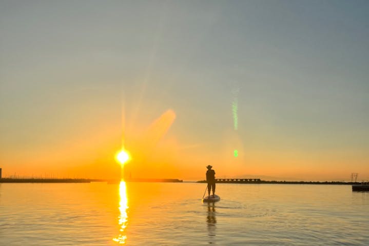 チームBobサップ