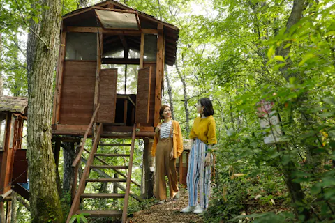 【兵庫・但馬・BBQ】ツリーハウスレストランでスタンダード但馬牛バーベキューコース