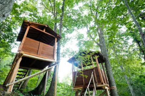 【兵庫・但馬・BBQ】ツリーハウスレストランで極上BBQ！但馬牛極（キワミ）コース