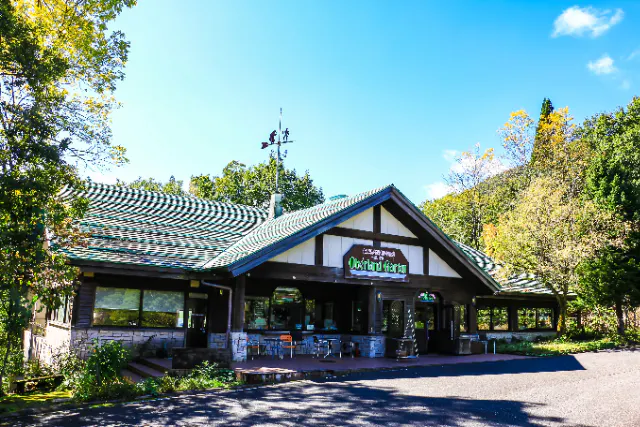 【兵庫・但馬・BBQ】レストランで但馬牛61部位食べ比べコース　