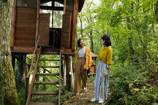 【兵庫・但馬・BBQ・家族】ツリーハウスレストランde　BBQファミリーセット（4～5人前）コース