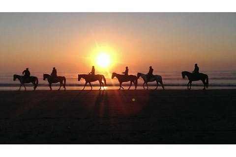 【初心者コース】アソビュー！限定のおみやげつき 九十九里浜のビーチで絶景を背にホーストレッキング！初心者でも安心 身長145センチ〜体験可能