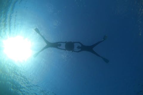 【神奈川・城ヶ島・シュノーケリング】初心者大歓迎！嬉しい無料駅送迎付き