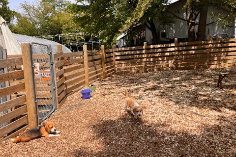 【福井・あわら・焚き火カフェ】自然の中で焚き火を囲みながらのんびりしたい方にオススメプラン！ワンちゃんもご一緒可能です♪