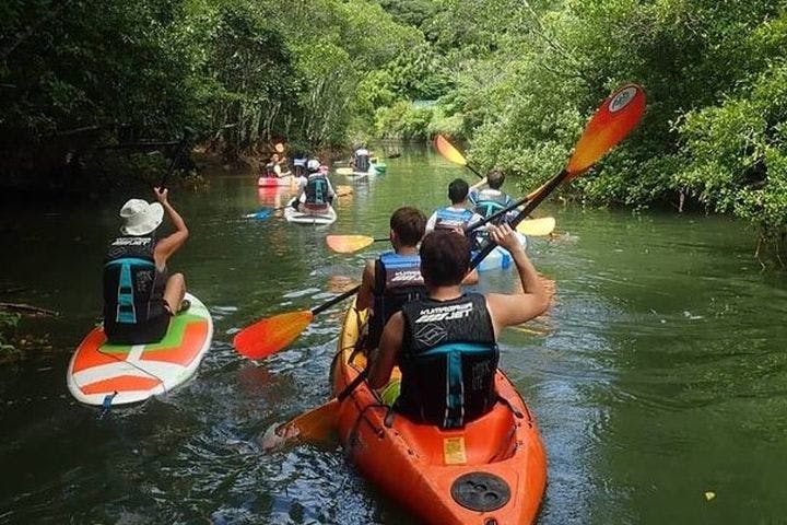 island adventure irie