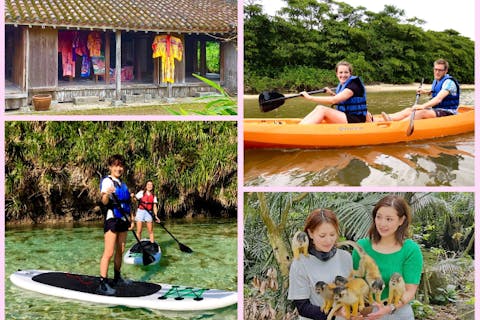 【沖縄・石垣島・SUPorカヤック】All Blue だけのツアー！特別区域ラムサール条約保護区《やいま村》のマングローブで大自然を体感♪SUP or カヤック 選べるプラン（YSK）