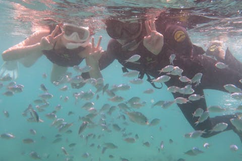 【沖縄・奥武島・シュノーケリング】1組限定ガイド完全貸切制☆おさかな天国でビーチシュノーケリング体験！器材レンタル無料・写真プレゼント・那覇空港から約30分の好立地！