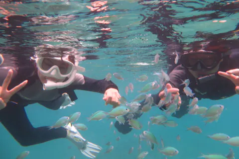 【沖縄・奥武島・シュノーケリング】1組限定ガイド完全貸切制☆おさかな天国でビーチシュノーケリング体験！写真・動画プレゼント・器材レンタル無料・那覇空港から約30分の好立地！