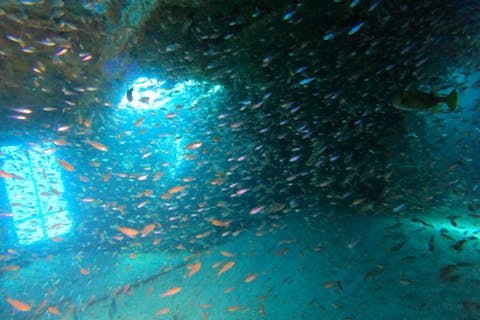 【兵庫・白浜・沈没船ダイビングツアー】送迎付き！初心者でも安心！日帰りで沈没船大冒険！