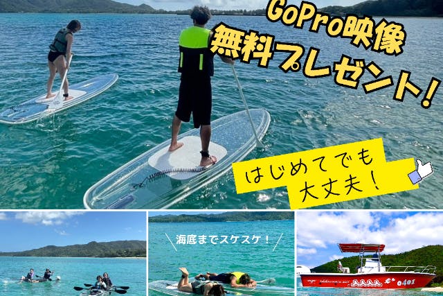 【鹿児島・奄美大島・クリアSUP＆カヤック】当日予約可能！海からしか行けない⁉コウトリ浜で満喫！ クリアSUP・クリアカヤックツアー！撮影データプレゼント！