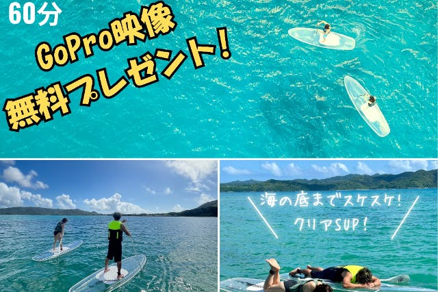 【鹿児島・奄美大島・SUP】当日予約OK・クリアSUP・60分・撮影データ無料プレゼント！