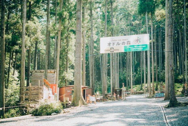 【三重・菰野・フォレスト＆バギー】ジップスライドやバギーで遊べるお得なセットプラン！