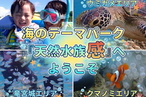 【沖縄 糸満から約15分】海のテーマパーク・天然水族感でウミガメ＆100種以上の生物探索シュノーケリング｜送迎可｜初心者大歓迎｜当日予約OK