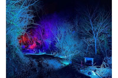 山口・周南・イルミネーション】～光(イルミ)には恋する魔法がある～森