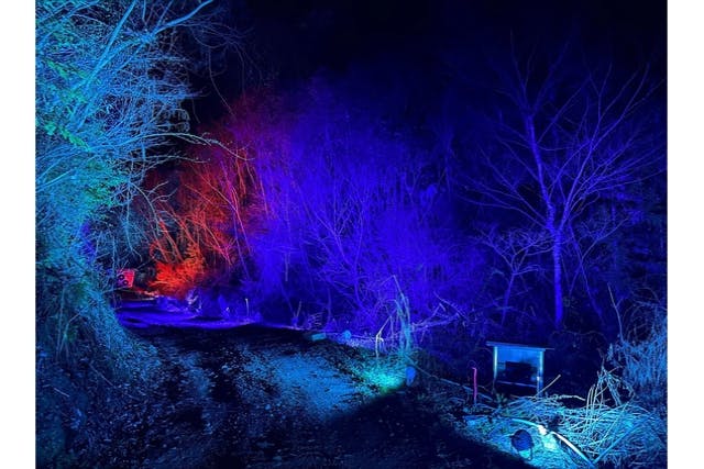 80e91f25-e51e-4405-8446-