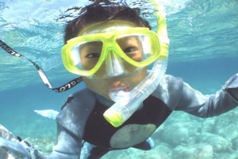 【静岡・東伊豆・スノーケリング】スノーケリング体験（1.5時間）魚たちの住む海の中を満喫しましょう！